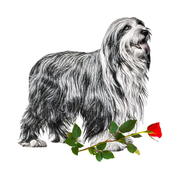 Valentines Bearded Collie Dog with Red Rose by NikkiBear67