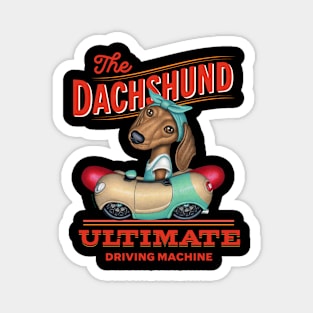 Dachshund Ultimate Driving Machine Magnet