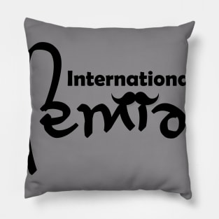 International Students Pillow