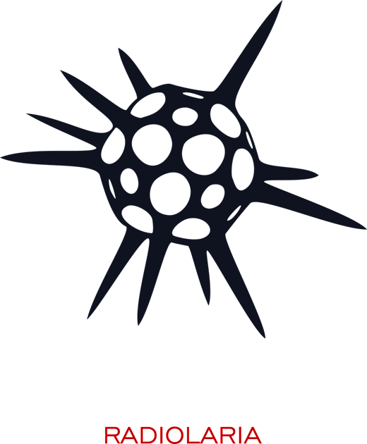 Radiolaria Kids T-Shirt by masha