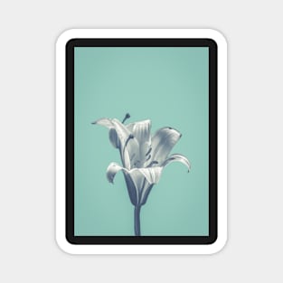 Flower On Blue Design Magnet