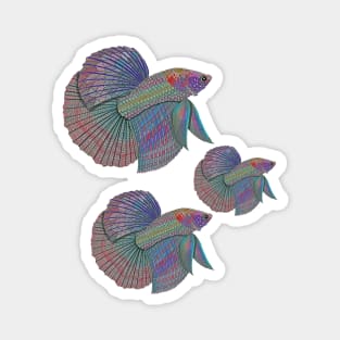 Betta Fish Magnet