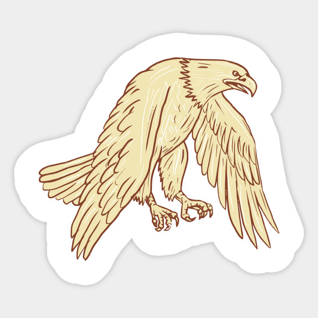 Bald Eagle Flying Wings Down Drawing Bald Eagle Flying Wings Down Drawing Sticker Teepublic