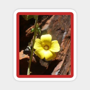 Beautiful Yellow Wildflower Magnet