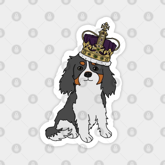 Cute cavalier king charles spaniel wearing a crown Magnet by Becky-Marie
