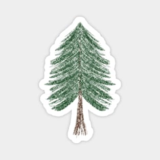 Pine Tree Sketch Magnet