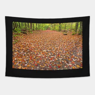 Ricketts Glen Autumn Trail Tapestry