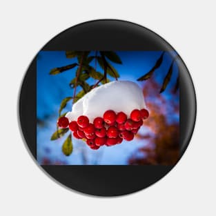 Snow Capped Mt Ash Berries Pin