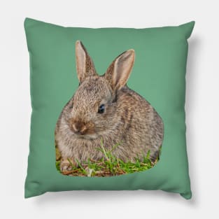 Cute Baby Wild Rabbit Pillow