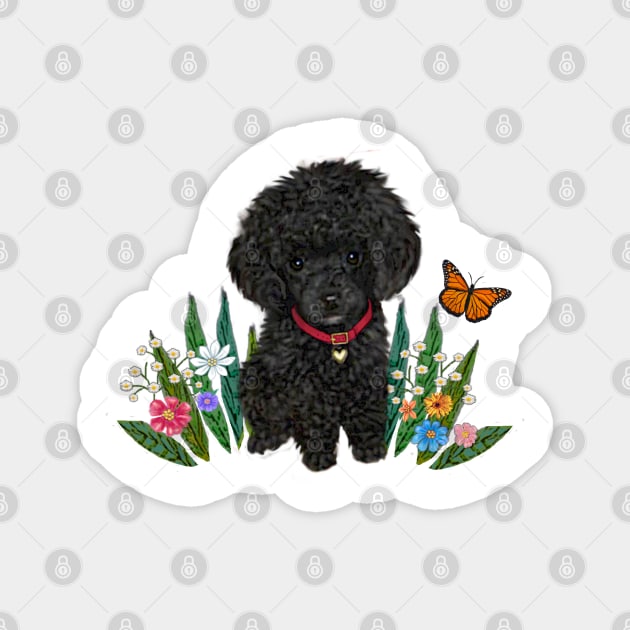 Black Fluffy Poodle Sitting on Grass with Flowers Magnet by Dogs Galore and More