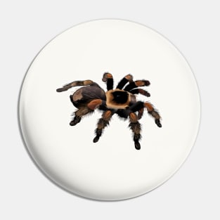 Spider Tarantula Pin