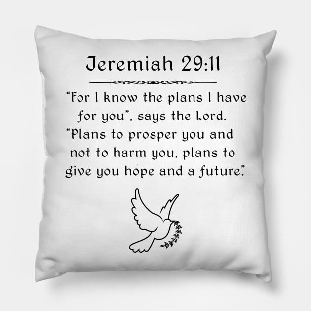 Jeremiah 29:11 Pillow by swiftscuba