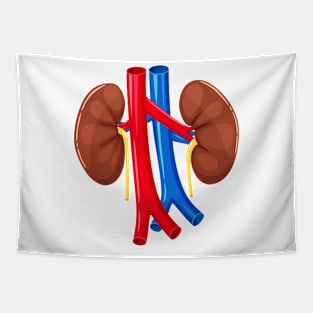 human Kidney anatomy Tapestry