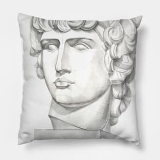 Antinous head Pillow