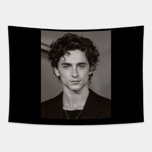 Chalamet Tapestry