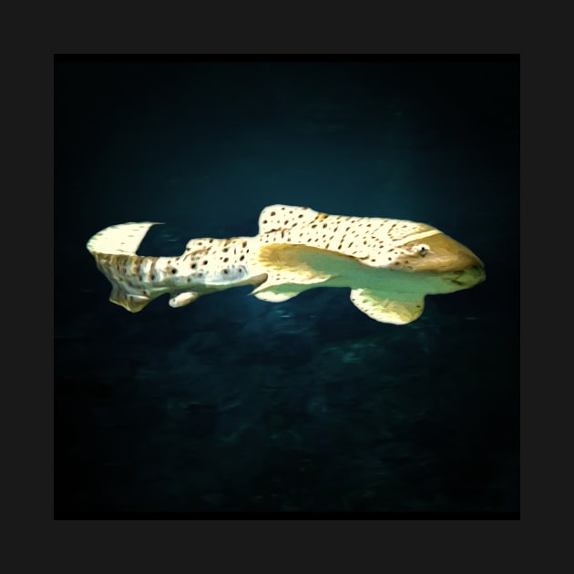 Leopard shark by Guardi