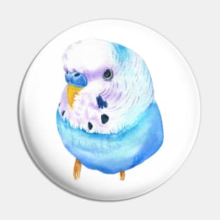 budgerigar blue and purple watercolor Pin