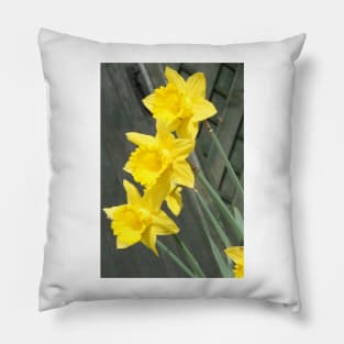 Yellow Daffodils Pillow