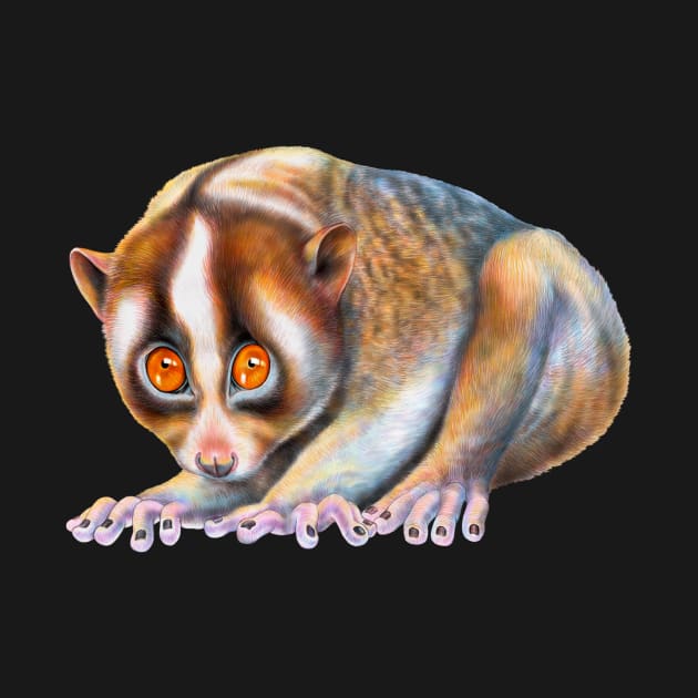 Slow Loris by Tim Jeffs Art