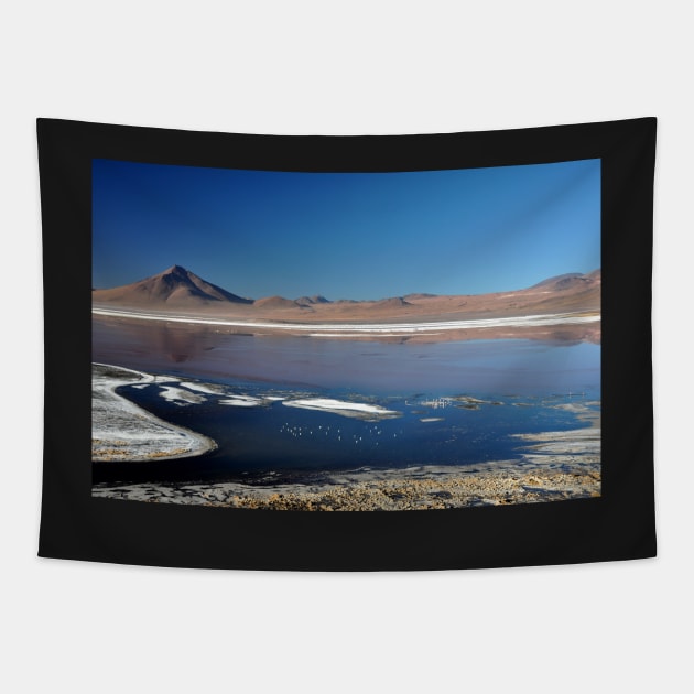 Bolivie - Salar d'Uyuni Tapestry by franck380