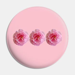 Three Pink Carnations Floral Photo Pin