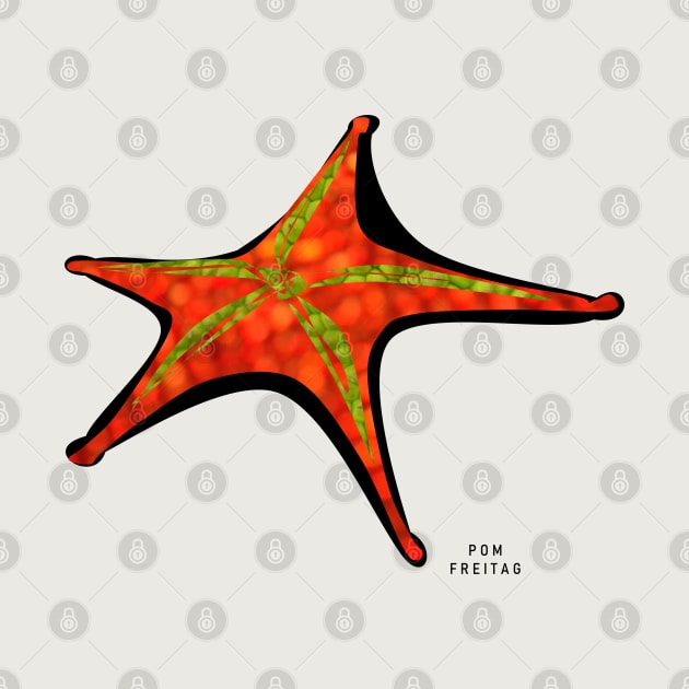 Starfish : by Annie Pom Freitag