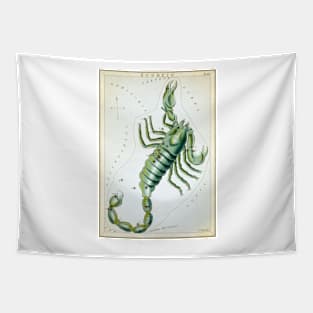 Scorpio zodiac sign Tapestry