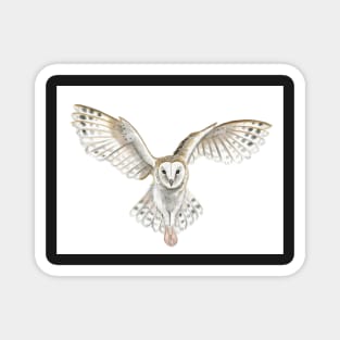 Watercolor Barn Owl Flying Magnet