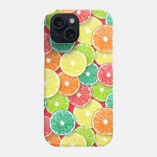 Citrus fruit slices pop art 1 Phone Case