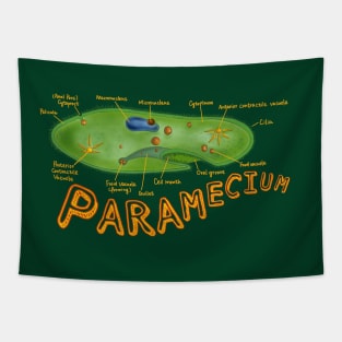 Paramecium-with structures labeled Tapestry