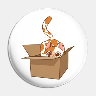 Cat in the box Pin