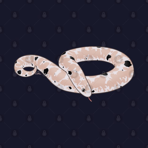 Snow Paradox Kenyan Sand Boa by anacecilia