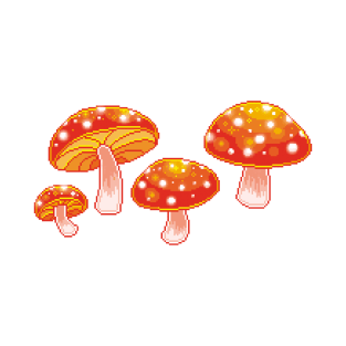 Magic Toadstools T-Shirt