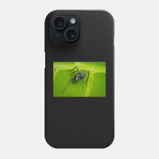 Unique and organic photo of an ant mimic spider cleaning its chelicerae Phone Case