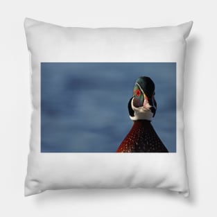 Morning Wood - Wood Duck Pillow