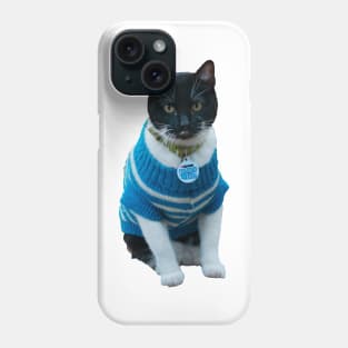 Cats in Sweaters Phone Case