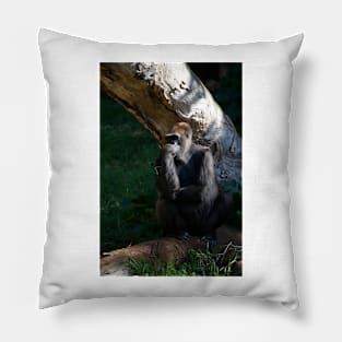 Gorilla - The Thinker Pillow