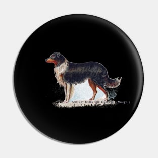 Sheep Dog or Collie Pin