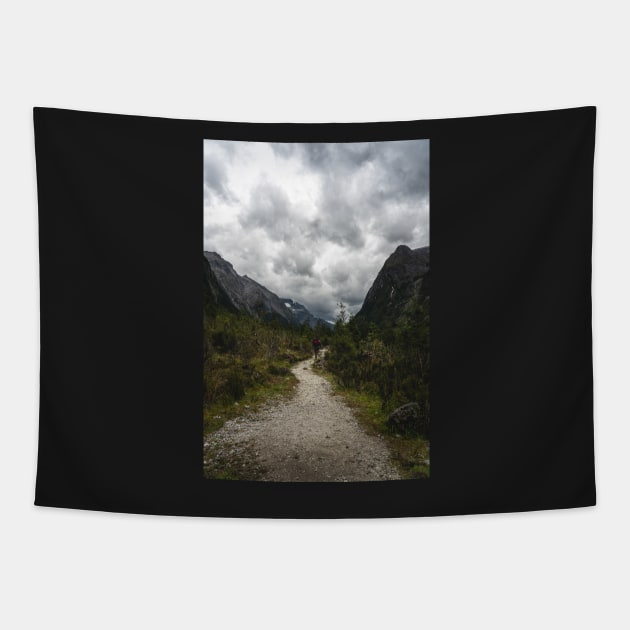 Track In between of Epic Mountains in New Zealand Tapestry by Danny Wanders