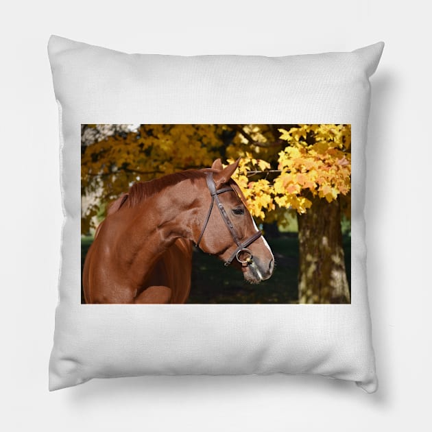 Chestnut mare Pillow by theartsyeq