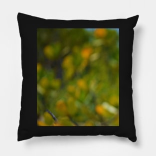 Beach Mangrove Blur Pillow