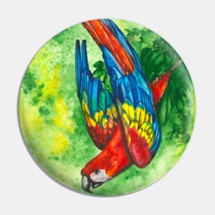 Scarlet Macaw Pin