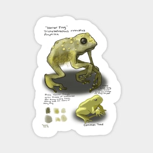 Horror Frog Magnet