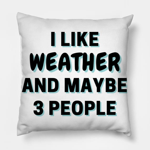 I Like Weather And Maybe 3 People Pillow by Word Minimalism