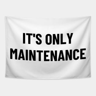 it's only maintenance Tapestry