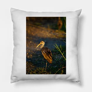 Limpkin Pillow