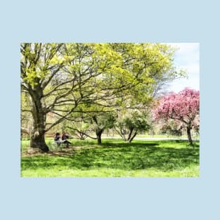 Spring - Lunch in the Park in Spring T-Shirt