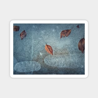 fallen leaves frozen in a puddle Magnet