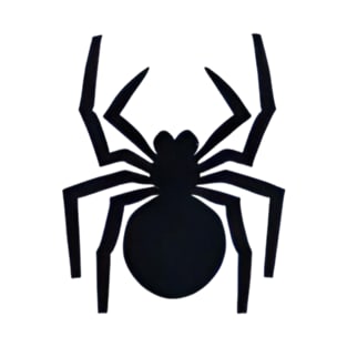 Black spider insect T-Shirt