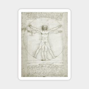 Vitruvian Man by Leonardo da Vinci Magnet